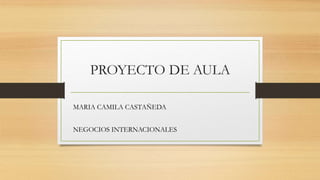 PROYECTO DE AULA
MARIA CAMILA CASTAÑEDA
NEGOCIOS INTERNACIONALES
 