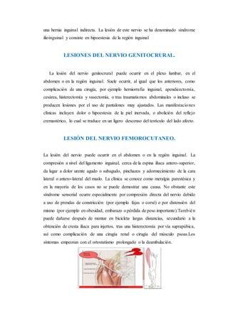 una hernia inguinal indirecta. La lesión de este nervio se ha denominado síndrome
ilioinguinal y consiste en hipoestesia de la región inguinal
LESIONES DEL NERVIO GENITOCRURAL.
La lesión del nervio genitocrural puede ocurrir en el plexo lumbar, en el
abdomen o en la región inguinal. Suele ocurrir, al igual que los anteriores, como
complicación de una cirugía, por ejemplo herniorrafia inguinal, apendicectomía,
cesárea, histerectomía y vasectomía, o tras traumatismos abdominales o incluso se
producen lesiones por el uso de pantalones muy ajustados. Las manifestaciones
clínicas incluyen dolor o hipoestesia de la piel inervada, o abolición del reflejo
cremastérico, lo cual se traduce en un ligero descenso del testículo del lado afecto.
LESIÓN DEL NERVIO FEMOROCUTANEO.
La lesión del nervio puede ocurrir en el abdomen o en la región inguinal. La
compresión a nivel del ligamento inguinal, cerca de la espina ilíaca antero-superior,
da lugar a dolor urente agudo o subagudo, pinchazos y adormecimiento de la cara
lateral o antero-lateral del muslo. La clínica se conoce como meralgia parestésica y
en la mayoría de los casos no se puede demostrar una causa. No obstante este
síndrome sensorial ocurre especialmente por compresión directa del nervio debido
a uso de prendas de constricción (por ejemplo fajas o corsé) o por distensión del
mismo (por ejemplo en obesidad, embarazo o pérdida de peso importante).También
puede dañarse después de montar en bicicleta largas distancias, secundario a la
obtención de cresta ilíaca para injertos, tras una histerectomía por vía suprapúbica,
así como complicación de una cirugía renal o cirugía del músculo psoas.Los
síntomas empeoran con el ortostatismo prolongado o la deambulación.
 
