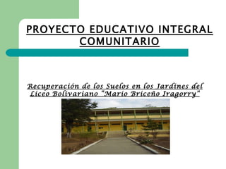 PROYECTO EDUCATIVO INTEGRAL COMUNITARIO Recuperación de los Suelos en los Jardines del Liceo Bolivariano “Mario Briceño Iragorry” 