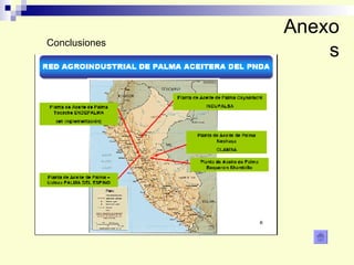 Anexos Conclusiones 
