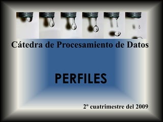 Cátedra de Procesamiento de DatosPERFILES2º cuatrimestre del 2009