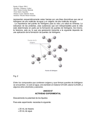 Equipo 4 Grupo 240-A
-González Velázquez Leilani
-Silva Toledo Cynthia Michelle
-Torta García Jaqueline
-Pedraza Loaiza Gabriela Naxely
-Gutiérrez Muciño María Fernanda
representan esquemáticamente estas fuerzas por una línea discontinua que une el
hidrógeno de una molécula de agua y un oxígeno de otra molécula de agua
. La importancia del puente de hidrógeno para la vida y la salud es inmensa. La
estructura de las proteínas, unas sustancias que son indispensables para la vida
está determinada en parte por la formación de puentes de hidrógeno. Así mismo,
la herencia, esto es, lo que una generación transmite a la siguiente depende de
una aplicación de la formación de puentes de hidrógeno.
Fig. 2
Entre los compuestos que contienen oxígeno y que forman puentes de hidrógeno
se encuentran, no solo el agua, sino también el metanol CH3OH, etanol C2H5OH, y
algunos otros alcoholes y azúcares.
ANEXO 67
ACTIVIDAD EXPERIMENTAL
Descubriendo la polaridad de los líquidos
Para este experimento necesitas lo siguiente:
 20 mL de hexano
 20 mL de agua
 