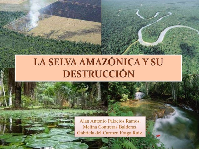Resultado de imagen de Selva amazÃ³nica