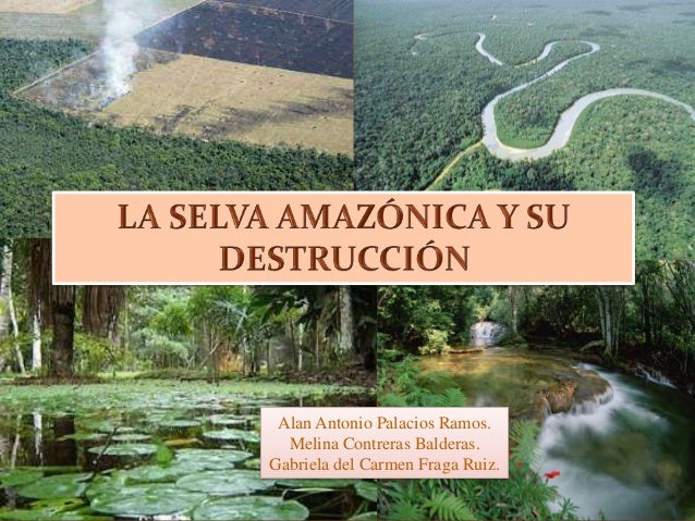 Resultado de imagen de Selva amazónica