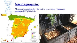 Experimento 2.
Cultivo de retama con compost en un invernadero
Hipótesis a comprobar: las plantas de retama crecen igual c...