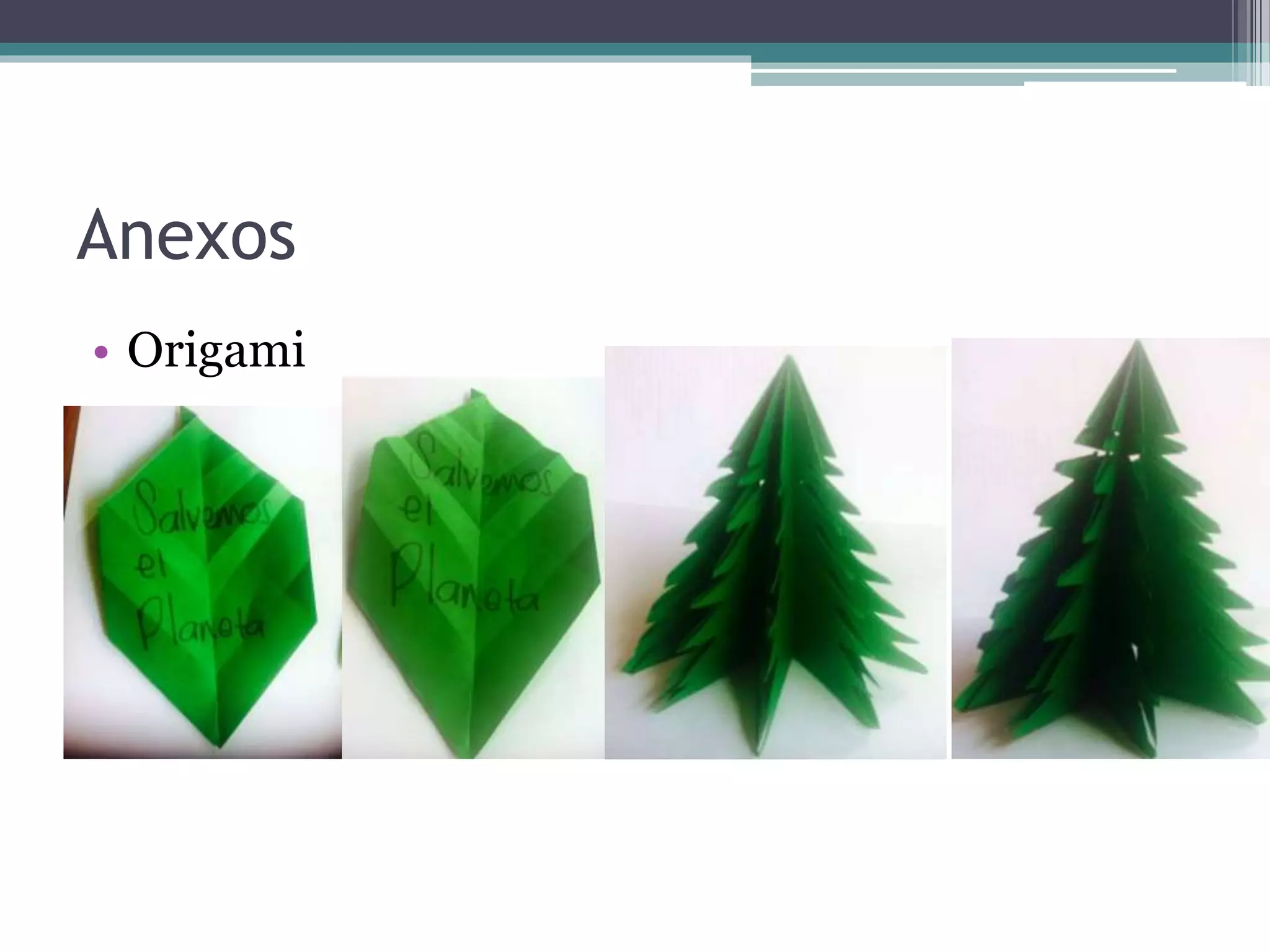Anexos
• Origami
 