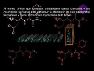 Al mismo tiempo que luchaban judicialmente contra Monsanto y las Autoridades Sanitarias para conseguir la prohibición de este edulcorante transgénico y tóxico, defendían la legalización de la Stevia.  