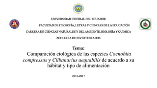 UNIVERSIDAD CENTRAL DEL ECUADOR
FACULTAD DE FILOSOFÍA, LETRAS Y CIENCIAS DE LA EDUCACIÓN
CARRERA DE CIENCIAS NATURALES Y DELAMBIENTE, BIOLOGÍAY QUÍMICA
ZOOLOGIA DE INVERTEBRADOS
Tema:
Comparación etológica de las especies Coenobita
compressus y Clibanarius aequabilis de acuerdo a su
hábitat y tipo de alimentación
2016-2017
 