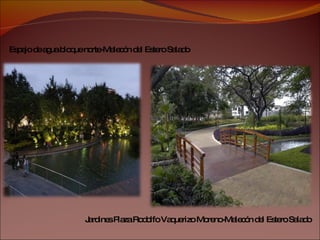 Espejo de agua bloque norte-Malecón del Estero Salado Jardines Plaza Rodolfo Vaquerizo Moreno-Malecón del Estero Salado 