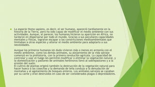  La especie Homo sapiens, es decir, el ser humano, apareció tardíamente en la 
historia de la Tierra, pero ha sido capaz de modificar el medio ambiente con sus 
actividades. Aunque, al parecer, los humanos hicieron su aparición en África, no 
tardaron en dispersarse por todo el mundo. Gracias a sus peculiares capacidades 
mentales y físicas, lograron escapar a las constricciones medioambientales que 
limitaban a otras especies y alterar el medio ambiente para adaptarlo a sus 
necesidades. 
Aunque los primeros humanos sin duda vivieron más o menos en armonía con el 
medio ambiente, como los demás animales, su alejamiento de la vida salvaje 
comenzó en la prehistoria, con la primera revolución agrícola. La capacidad de 
controlar y usar el fuego les permitió modificar o eliminar la vegetación natural, y 
la domesticación y pastoreo de animales herbívoros llevó al sobrepastoreo y a la 
erosión del suelo. 
El cultivo de plantas originó también la destrucción de la vegetación natural para 
hacer hueco a las cosechas y la demanda de leña condujo a la denudación de 
montañas y al agotamiento de bosques enteros. Los animales salvajes se cazaban 
por su carne y eran destruidos en caso de ser considerados plagas o depredadores. 
 