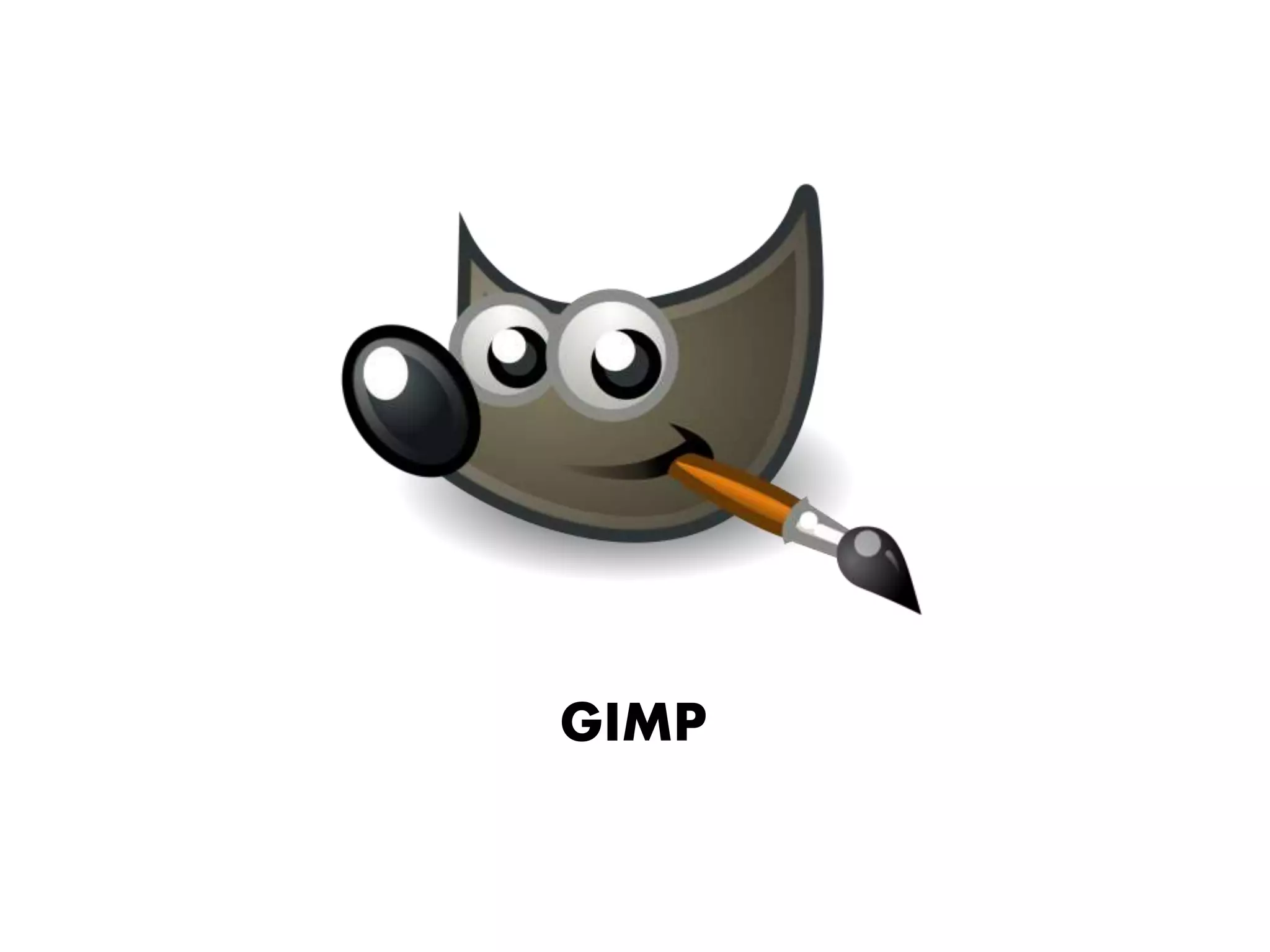 GIMP
 