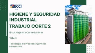 Nicol Alejandra Castrellon Diaz
134411
Tecnología en Procesos Químicos
Industriales
HIGIENE Y SEGURIDAD
INDUSTRIAL
TRABAJO CORTE 2
 