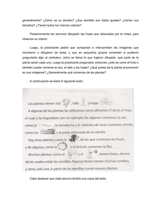 generalmente? ¿Cómo es su tamaño? ¿Sus semillas son todas iguales? ¿Varían sus
tamaños? ¿Tienen todos los mismos colores?
Posteriormente los alumnos dibujarán las frutas que rebanadas por la mitad, para
observar su interior.
Luego, la practicante pedirá que compartan e intercambien las imágenes que
recortaron o dibujaron de tarea, y que en pequeños grupos comenten si pudieron
preguntarle algo al verdulero, cómo se llama lo que trajeron dibujado, qué parte de la
planta serán cada una. Luego la practicante preguntará, entonces ¿sólo se come el fruto o
también puede comerse la raíz, el tallo y las hojas? ¿Qué partes de la planta encontraron
en sus imágenes? ¿Generalmente qué comemos de las plantas?
A continuación se leerá el siguiente texto:

Cabe destacar que cada alumno tendrá una copia del texto.

 