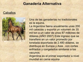 Ganadería Alternativa Una de las ganaderías no tradicionales es la equina. La Argentina faena anualmente unas 200 mil cabezas y exporta un volumen de 35 mil ton a un valor de unos 87 millones de dólares.(AÑO 2007) Este ingreso que se transfiere en un valor promedio por tonelada exportada de 2.480 dólares, se distribuye en Europa y Asia , con cortes enfriados y congelados similares a los vacunos. Argentina es el primer exportador a nivel mundial en carne equina Caballos 