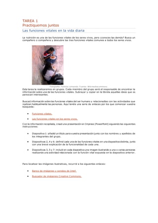 TAREA 1 
Practiquemos juntos 
Las funciones vitales en la vida diaria 
La nutrición es una de las funciones vitales de los...