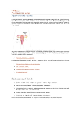 TAREA 2 
Practiquemos juntos 
¿Qué tiene este sistema? 
¿Conoces cada uno de los órganos que forman los distintos sistemas...