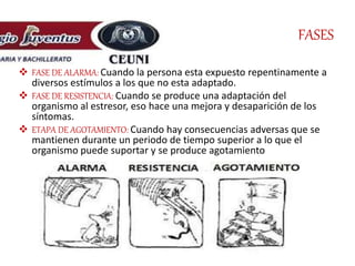 FASES
 FASE DE ALARMA: Cuando la persona esta expuesto repentinamente a
diversos estímulos a los que no esta adaptado.
 FASE DE RESISTENCIA: Cuando se produce una adaptación del
organismo al estresor, eso hace una mejora y desaparición de los
síntomas.
 ETAPA DE AGOTAMIENTO: Cuando hay consecuencias adversas que se
mantienen durante un periodo de tiempo superior a lo que el
organismo puede suportar y se produce agotamiento
 