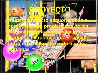 PROYECTO
 Nuestro  proyecto esta orientado a
 aprovechar las propiedades de las
 plantas como la manzanilla por
 medio de extractos, nos es posible
 nutrir el cabello para todo tipo de
 personas
 
