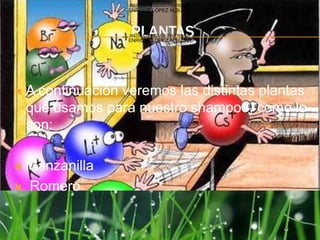 INSTITUCIÓN EDUCATIVA PRIVADA
                    ENRIQUE LÓPEZ ALBÚJAR




                    PLANTAS
                    INSTITUCIÓN EDUCATIVA PRIVADA
                    ENRIQUE LÓPEZ ALBÚJAR




   A continuación veremos las distintas plantas
    que usamos para nuestro shampoo, como lo
    son:

Manzanilla
 Romero
 
