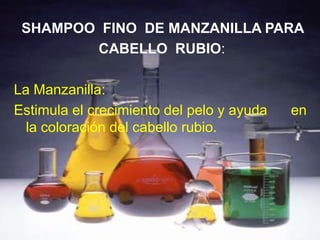 SHAMPOO FINO DE MANZANILLA PARA
        CABELLO RUBIO:

La Manzanilla:
Estimula el crecimiento del pelo y ayuda   en
  la coloración del cabello rubio.
 