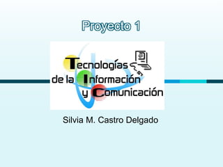 Proyecto 1 
Silvia M. Castro Delgado 
 