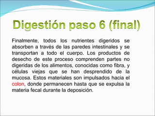 Finalmente, todos los nutrientes digeridos se absorben a través de las paredes intestinales y se transportan a todo el cuerpo. Los productos de desecho de este proceso comprenden partes no digeridas de los alimentos, conocidas como fibra, y células viejas que se han desprendido de la mucosa. Estos materiales son impulsados hacia el  colon , donde permanecen hasta que se expulsa la materia fecal durante la deposición. 