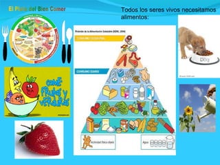 Todos los seres vivos necesitamos alimentos: 