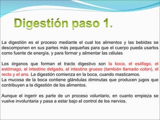 La digestión es el proceso mediante el cual los alimentos y las bebidas se descomponen en sus partes más pequeñas para que el cuerpo pueda usarlos como fuente de energía, y para formar y alimentar las células Los órganos que forman el tracto digestivo son  la boca, el esófago, el estómago, el intestino delgado, el intestino grueso (también llamado colon), el recto y el ano.  La digestión comienza en la boca, cuando masticamos. La mucosa de la boca contiene glándulas diminutas que producen jugos que contribuyen a la digestión de los alimentos.   Aunque el ingerir es parte de un proceso voluntario, en cuanto empieza se vuelve involuntaria y pasa a estar bajo el control de los nervios.  