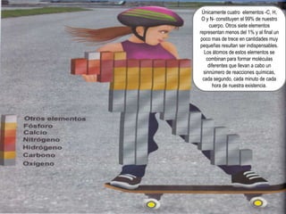 Únicamente cuatro elementos -C, H,
 O y N- constituyen el 99% de nuestro
      cuerpo. Otros siete elementos
representan menos del 1% y al final un
 poco mas de trece en cantidades muy
pequeñas resultan ser indispensables.
   Los átomos de estos elementos se
    combinan para formar moléculas
     diferentes que llevan a cabo un
  sinnúmero de reacciones químicas,
  cada segundo, cada minuto de cada
        hora de nuestra existencia.
 