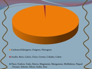 Carbono,Hidrogeno, Oxigeno, Nitrogeno


Azufre, Boro, Calcio, Cloro, Cromo, Cobalto, Cobre


Fluor, Fosforo, Yodo, Hierro, Magenesio, Manganeso, Molibdeno, Niquel
, Potasio, Selenio, Silicio, Sodio, Zinc
 