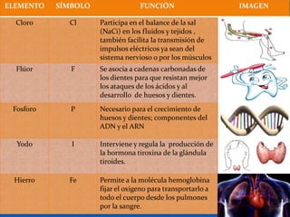 ELEMENTO   SÍMBOLO                FUNCIÓN                    IMAGEN

  Cloro      Cl      Participa en el balance de la sal
                     (NaCi) en los fluidos y tejidos ,
                     también facilita la transmisión de
                     impulsos eléctricos ya sean del
                     sistema nervioso o por los músculos
  Flúor       F      Se asocia a cadenas carbonadas de
                     los dientes para que resistan mejor
                     los ataques de los ácidos y al
                     desarrollo de huesos y dientes.
 Fosforo      P      Necesario para el crecimiento de
                     huesos y dientes; componentes del
                     ADN y el ARN

  Yodo        I      Interviene y regula la producción de
                     la hormona tiroxina de la glándula
                     tiroides.

 Hierro      Fe      Permite a la molécula hemoglobina
                     fijar el oxigeno para transportarlo a
                     todo el cuerpo desde los pulmones
                     por la sangre.
 
