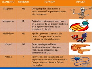 ELEMENTO    SÍMBOLO                 FUNCIÓN                      IMAGEN

Magnesio      Mg      Otorga rigidez a los huesos e
                      interviene en el impulso nervioso a
                      nivel muscular.


Manganeso     Mn      Activa los enzimas que intervienen
                      en la síntesis de las grasas y participa
                      en el aprovechamiento de las
                      vitaminas C, B1, y H.
Molibdeno     Mo      Ayuda a prevenir la anemia y la
                      caries. Componente de varias
                      enzimas en el metabolismo.

 Niquel       Ni      Es necesario para el buen
                      funcionamiento del páncreas.
                      Participa en reacciones que
                      contienen FE y CU.
 Potasio       K      Interviene en la transmisión del
                      impulso nervioso entre las neuronas.
                      Componente de diversos fluidos
                      corporales.
 