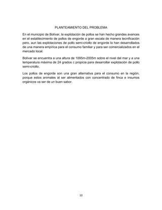 PLANTEAMIENTO DEL PROBLEMA
En el municipio de Bolívar, la explotación de pollos se han hecho grandes avances
en el establecimiento de pollos de engorde a gran escala de manera tecnificación
pero, aun las explotaciones de pollo semi-criollo de engorde lo han desarrollados
de una manera empírica para el consumo familiar y para ser comercializados en el
mercado local.
Bolívar se encuentra a una altura de 1095m-2005m sobre el nivel del mar y a una
temperatura máxima de 24 grados c propicia para desarrollar explotación de pollo
semi-criollo.
Los pollos de engorde son una gran alternativa para el consumo en la región,
porque estos animales al ser alimentados con concentrado de finca e insumos
orgánicos va ser de un buen sabor.

10

 