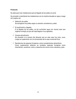 Protocolo
Se adecuaron las instalaciones para la llegada de los pollos al corral.
Se procedió a desinfectar las instalaciones con la creolina disuelta en agua y luego
se le aplico cal.
 Selección de pollos
Se escogieron los pollos según su tamaño consistencia y edad.
 El recibimiento o llegada.
A la llegada de los pollos, se les suministro agua con azúcar para que
cogieran energía ya que del viaje llegaron muy agotados.
 Compra del alimento
Se procedió a la compra del alimento que en este caso fue maíz, yuca,
Luego se suplemento con el concentrado de la casa comercial finca.
 Recolección de especies forrajeras y otros complementos alimenticios.
Como suplementos dietarios se recolecto especies forrajeras como
chachafruto, zanahoria, ramio y desechos de cocina como cascaras y peto.

16

 