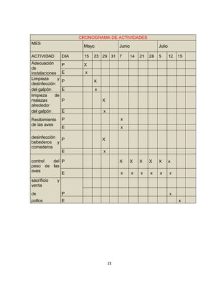 CRONOGRAMA DE ACTIVIDADES
MES

Mayo

Junio

ACTIVIDAD

DIA

15

23 29 31 7

Adecuación
de
instalaciones
Limpieza
y
desinfección
del galpón
limpieza
de
malezas
alrededor
del galpón

P

X

E

x

Recibimiento
de las aves

P

x

E

Julio

x

P

28

5

12

X

X

X

X

X

x

x

x

x

x

x

15

x

x

P

X

E

x

desinfección
P
bebederos y
comederos
E

X
x

control
del P
peso de las
aves
E
sacrificio
venta

21

X

E

14

y

de

P

pollos

x

E

x

21

 
