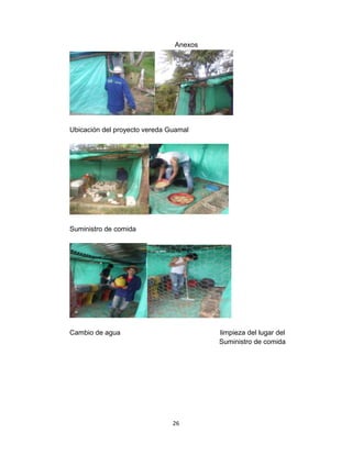 Anexos

Ubicación del proyecto vereda Guamal

Suministro de comida

Cambio de agua

limpieza del lugar del
Suministro de comida

26

 