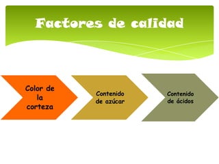 Color de
la
corteza
Contenido
de azúcar
Contenido
de ácidos
Factores de calidad
 