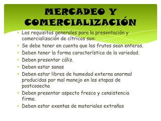 Los requisitos generales para la presentación y
comercialización de cítricos son:
Se debe tener en cuenta que los frutos sean enteros.
Deben tener la forma característica de la variedad.
Deben presentar cáliz.
Deben estar sanas
Deben estar libres de humedad externa anormal
producidas por mal manejo en las etapas de
postcosecha
Deben presentar aspecto fresco y consistencia
firme.
Deben estar exentas de materiales extraños
MERCADEO Y
COMERCIALIZACIÓN
 