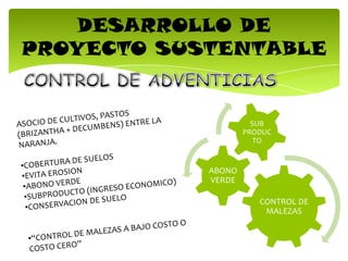 DESARROLLO DE
PROYECTO SUSTENTABLE
CONTROL DE
MALEZAS
ABONO
VERDE
SUB
PRODUC
TO
 
