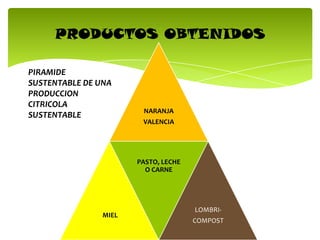 PRODUCTOS OBTENIDOS
NARANJA
VALENCIA
MIEL
PASTO, LECHE
O CARNE
LOMBRI-
COMPOST
PIRAMIDE
SUSTENTABLE DE UNA
PRODUCCION
CITRICOLA
SUSTENTABLE
 