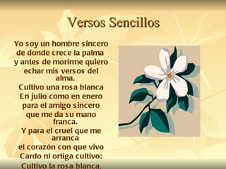 Versos Sencillos Yo soy un hombre sincero de donde crece la palma  y antes de morirme quiero echar mis versos del alma. Cultivo una rosa blanca En julio como en enero para el amigo sincero que me da su mano franca. Y para el cruel que me arranca el corazón con que vivo Cardo ni ortiga cultivo: Cultivo la rosa   blanca . 