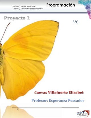 Elisabet Cuevas Villafuerte
Diseña y Administra Bases De Datos

Programación

3°C

1

 
