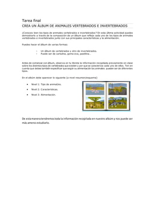 Tarea final 
CREA UN ÁLBUM DE ANIMALES VERTEBRADOS E INVERTEBRADOS 
¿Conoces bien los tipos de animales vertebrados e inve...