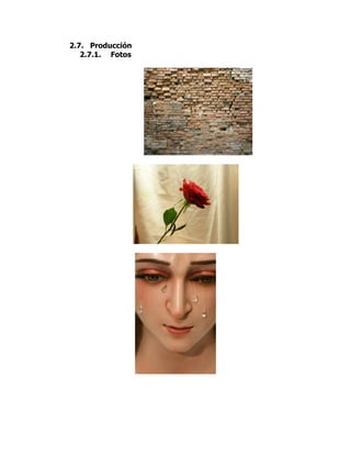 2.7. Producción
   2.7.1. Fotos
 
