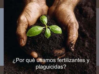 ¿Por qué usamos fertilizantes y
plaguicidas?
 