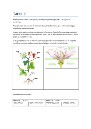 Tarea 3 
A continuación vamos a trabajar las partes de una planta, páginas 4 a 7 de la guía de 
contenidos. 
Para comenzar...