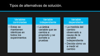 Tipos de alternativas de solución.
 