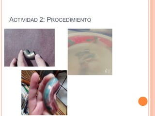 ACTIVIDAD 2: PROCEDIMIENTO
 