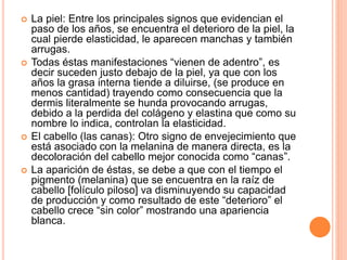  La piel: Entre los principales signos que evidencian el
paso de los años, se encuentra el deterioro de la piel, la
cual pierde elasticidad, le aparecen manchas y también
arrugas.
 Todas éstas manifestaciones “vienen de adentro”, es
decir suceden justo debajo de la piel, ya que con los
años la grasa interna tiende a diluirse, (se produce en
menos cantidad) trayendo como consecuencia que la
dermis literalmente se hunda provocando arrugas,
debido a la perdida del colágeno y elastina que como su
nombre lo indica, controlan la elasticidad.
 El cabello (las canas): Otro signo de envejecimiento que
está asociado con la melanina de manera directa, es la
decoloración del cabello mejor conocida como “canas”.
 La aparición de éstas, se debe a que con el tiempo el
pigmento (melanina) que se encuentra en la raíz de
cabello [folículo piloso] va disminuyendo su capacidad
de producción y como resultado de este “deterioro” el
cabello crece “sin color” mostrando una apariencia
blanca.
 