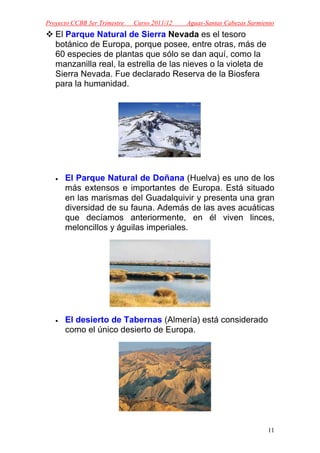 Proyecto CCBB 3er Trimestre   Curso 2011/12   Aguas-Santas Cabezas Sarmiento
   El Parque Natural de Sierra Nevada es el tesoro
   botánico de Europa, porque posee, entre otras, más de
   60 especies de plantas que sólo se dan aquí, como la
   manzanilla real, la estrella de las nieves o la violeta de
   Sierra Nevada. Fue declarado Reserva de la Biosfera
   para la humanidad.




   •   El Parque Natural de Doñana (Huelva) es uno de los
       más extensos e importantes de Europa. Está situado
       en las marismas del Guadalquivir y presenta una gran
       diversidad de su fauna. Además de las aves acuáticas
       que decíamos anteriormente, en él viven linces,
       meloncillos y águilas imperiales.




   •   El desierto de Tabernas (Almería) está considerado
       como el único desierto de Europa.




                                                                         11
 